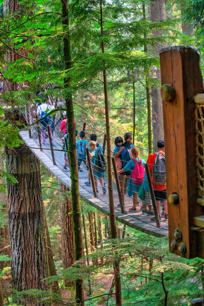 Vancouver Canada August 2017 People Capilano Bridge Suspension Bridge Crossing — Stock Photo, Image