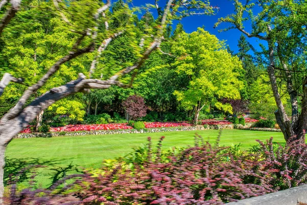 在加拿大温哥华岛一个美丽的阳光灿烂的日子里 布图花园 — 图库照片