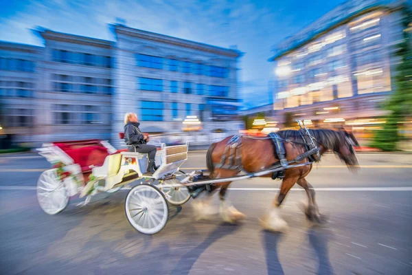 Άλογο Μεταφορά Στο Κέντρο Της Πόλης Βράδυ Θολή Γρήγορη Κίνηση — Φωτογραφία Αρχείου