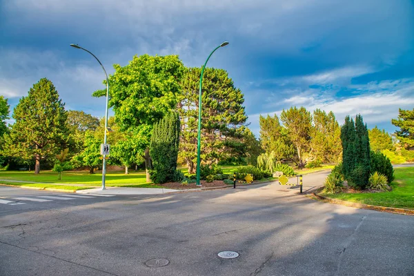 Belles Couleurs Parc Beacon Hill Victoria Île Vancouver — Photo