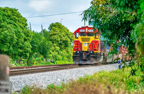 Hialeah Florida February 2016 Colorful Train Speeds Railway — Stock Photo, Image