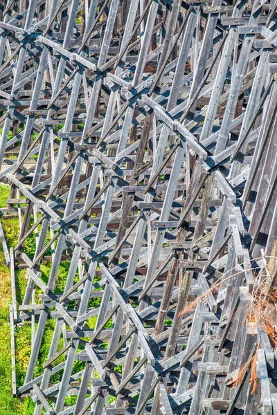 Uitzicht Gerestaureerde Historische Spoorbrug Kinsol Trestle Koksilah River Trestle Gemaakt — Stockfoto