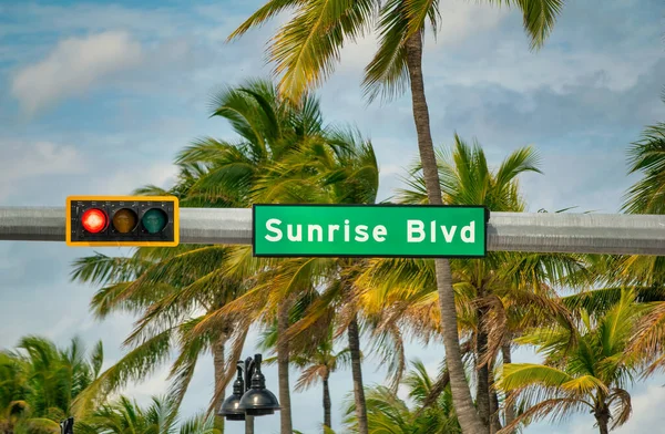 Sunrise Boulevard Δρόμο Υπογράψει Φοίνικες Στο Fort Lauderdale — Φωτογραφία Αρχείου