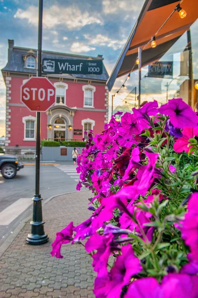 Calles Victoria Con Flores Atardecer Isla Vancouver —  Fotos de Stock
