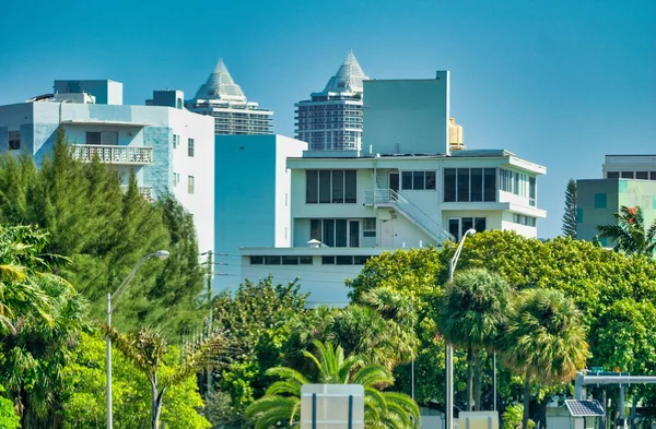 Gebouwen Van Miami Beach Tussen Palmbomen — Stockfoto