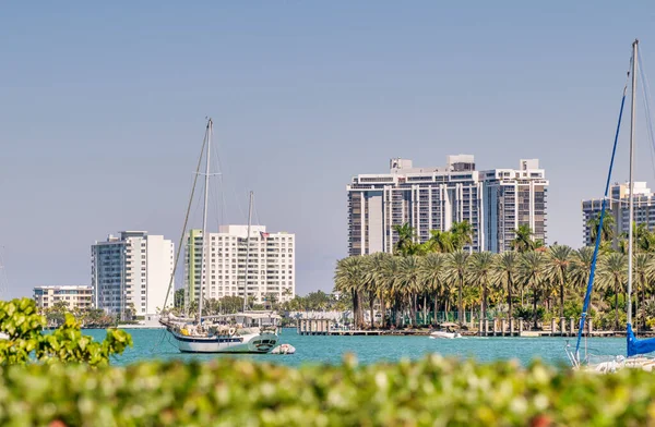Edifici Miami Beach Circondati Alberi — Foto Stock