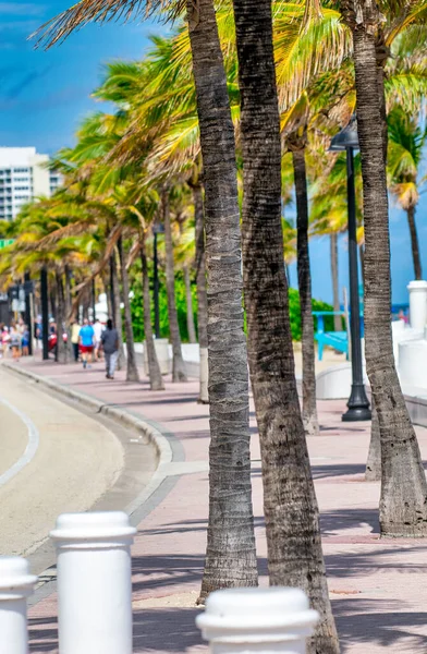 Paseo Marítimo Con Palmeras Día Soleado Fort Lauderdale — Foto de Stock