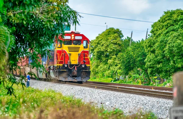 Farverige Gule Røde Tog Hastigheder Jernbanen Gennem Skoven - Stock-foto
