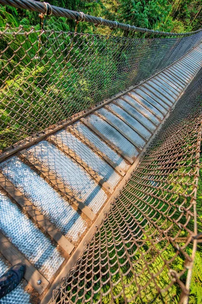 温哥华美丽的Capilano悬崖悬索桥 — 图库照片