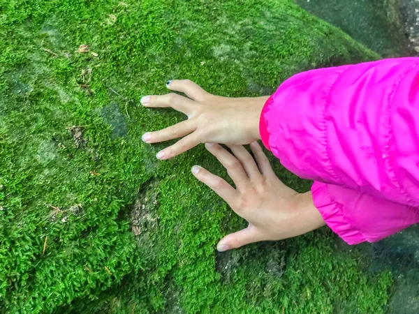 Młoda Dziewczyna Ręce Dotykając Trawy — Zdjęcie stockowe