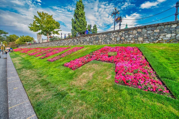 Victoria Canadá Agosto 2017 Jardins Parque Longo James Bay Belo — Fotografia de Stock