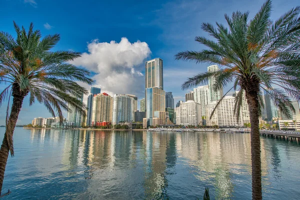 Downtown Miami Morgon Skyline Sett Utifrån Brickell Key Bridge — Stockfoto