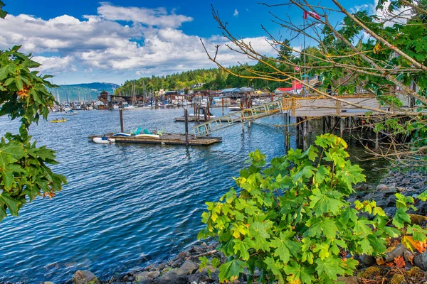 Cowichan Bay Båtar Och Trähus Vacker Sommardag Vancouver Island Kanada — Stockfoto