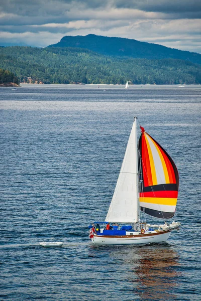 Small Sailboat Sails British Columbia Sound — Stock Photo, Image