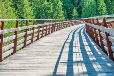 Tarihi demiryolu köprüsü Kinsol Trestle 'nin (Koksilah River Trestle) tahtadan yapılmış görüntüsü - Vancouver Adası