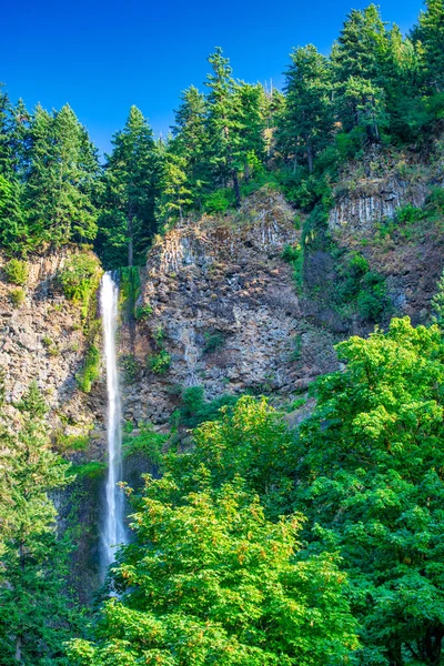 Multnomah Falls Egy Vízesés Található Multnomah Creek Columbia Folyó Szurdokban — Stock Fotó