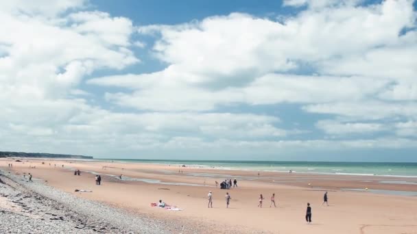Coast of Normandy in summer, France — Stock Video