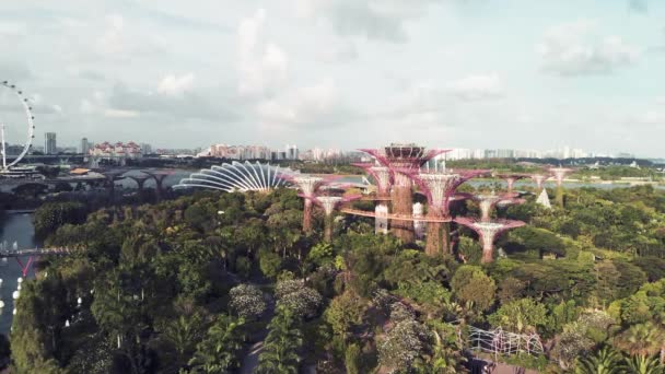 新加坡从空中起飞。在美丽的阳光明媚的下午，码头公园旁边的花园 — 图库视频影像