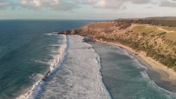 Isla Canguro, Australia. Shelly Beach al atardecer desde el dron — Vídeos de Stock