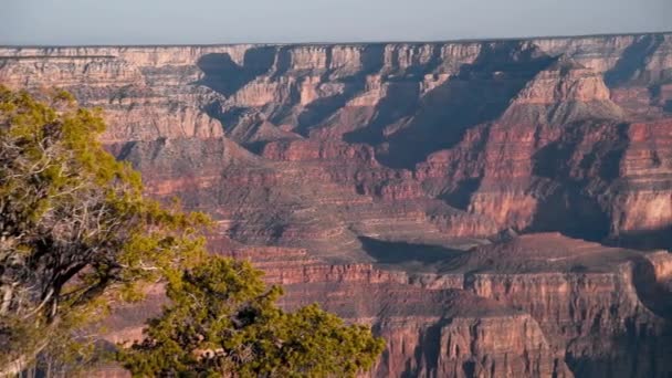 Csodálatos légi kilátás Grand Canyon naplementekor, USA — Stock videók