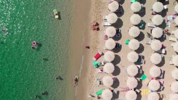 Flygfoto över fodrade strandparaplyer på en tropisk strand. Långsamma rörelser — Stockvideo