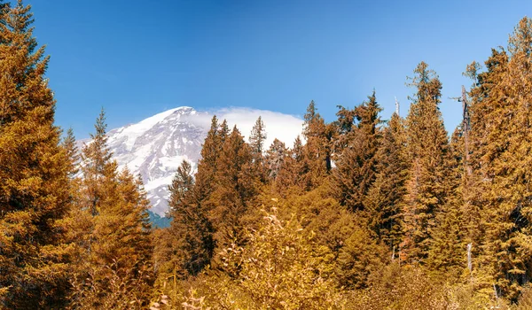 Mount Rainier National Park Fall Season Snow Mountain Peak Sunny — ストック写真