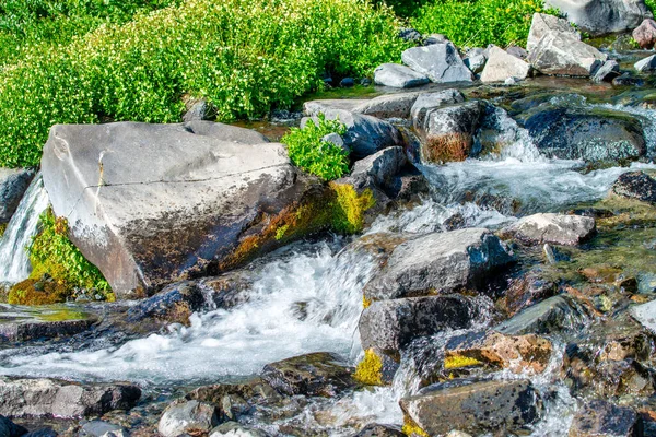 国立公園に沿ってクリークが流れる水 — ストック写真