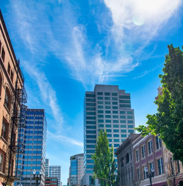 Edificios Árboles Portland Oregon Estados Unidos —  Fotos de Stock