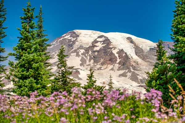 Mount Rainier Mit Schneebedecktem Gipfel Einem Schönen Sonnigen Tag Washington — Stockfoto