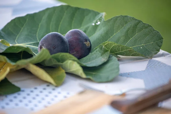 Fresh Figs Table Outdoor — Foto de Stock