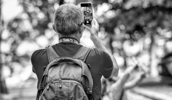 Back View Photographer Taking Pictures Beautiful Park — 스톡 사진