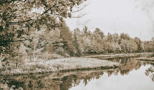 stock image Jordan River foliage colors in Bar Harbor, Maine