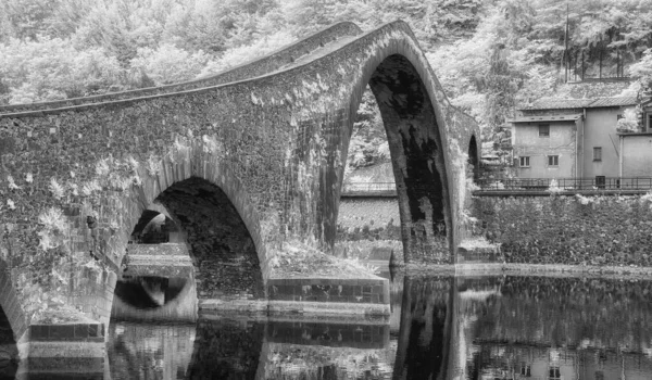 Lucca Puente Del Diablo Arquitectura Vegetación Blanco Negro — Foto de Stock