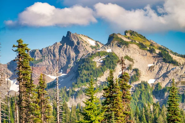 Hegyek Rainier Nemzeti Park Mentén Washington — Stock Fotó