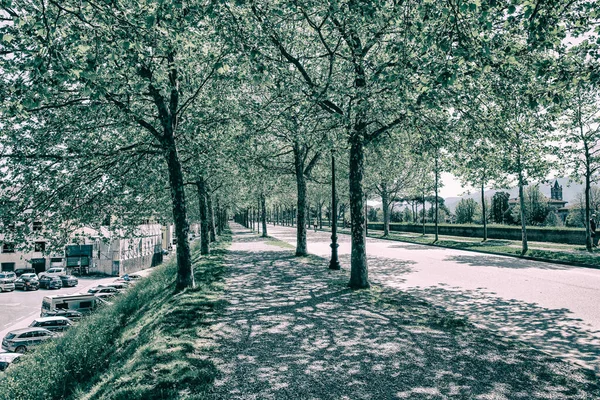 Lucca Olaszország Április 2022 Városfalak Sétánya Luccán Egy Gyönyörű Tavaszi — Stock Fotó