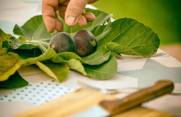 Fresh Figs Table Outdoor — Foto de Stock