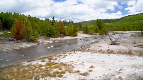 Yellowstone National Park, Wyoming. Norris Geyser Basin in summer season — Stock Video