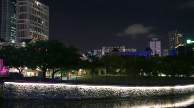 Gece, şehir parkındaki ağaçların arasında renkli dronlar uçuşuyor.