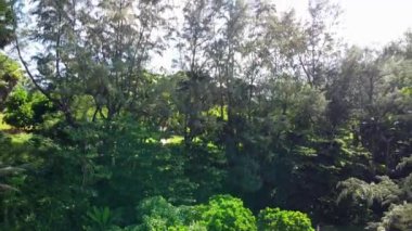 Surin Sahili, Phuket. Uçan İHA 'dan hava görüntüsü, Tayland