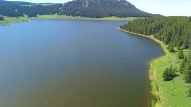 Veduta Aerea Del Lago Tensleep Reservoir Nel Wyoming Stagione Estiva — Video Stock