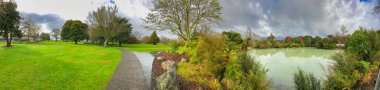 Kuirau Park on a rainy day in Rotorua, New Zealand. Panoramic view.