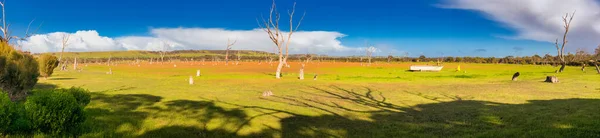 Emu Bay Natural Park Kangaroo Island Australia Panoramic View — Φωτογραφία Αρχείου