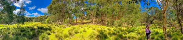 Exploring Kangaroo Island South Australia Panoramic View Trees Park Beautiful — Foto Stock