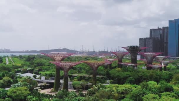 Singapore January 2020 Aerial View Modern Marina Bay Area Parks — Stock Video