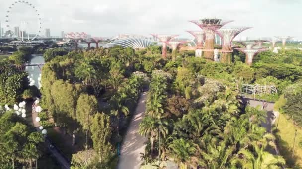 Singapore Från Luften Trädgårdar Vid Bay Park Marina Bay Området — Stockvideo