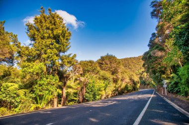 Beautiful road of New Zealand in spring, North Island.