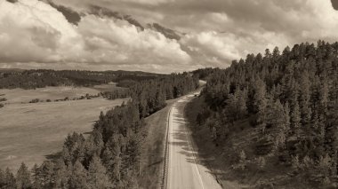 Yaz mevsiminde orman boyunca dağ yolu manzarası.