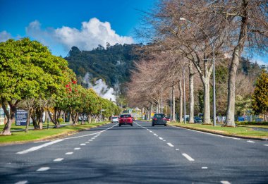 Güneşli bir günde Fenton Caddesi boyunca araba sürüyorum, Yeni Zelanda