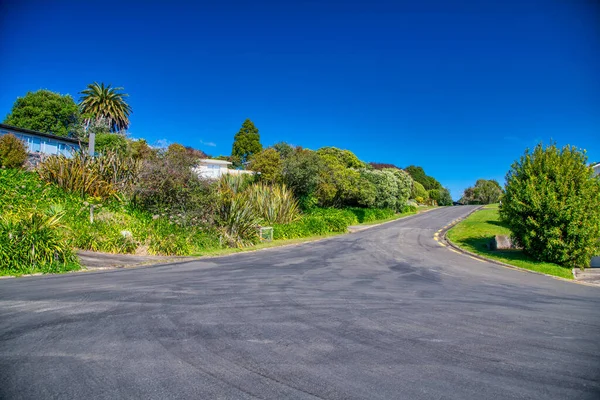 Prachtige Weg Van Nieuw Zeeland Het Voorjaar North Island — Stockfoto