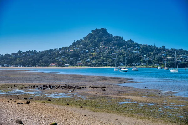 Beautiful Coastline Coromandel New Zealand — Photo